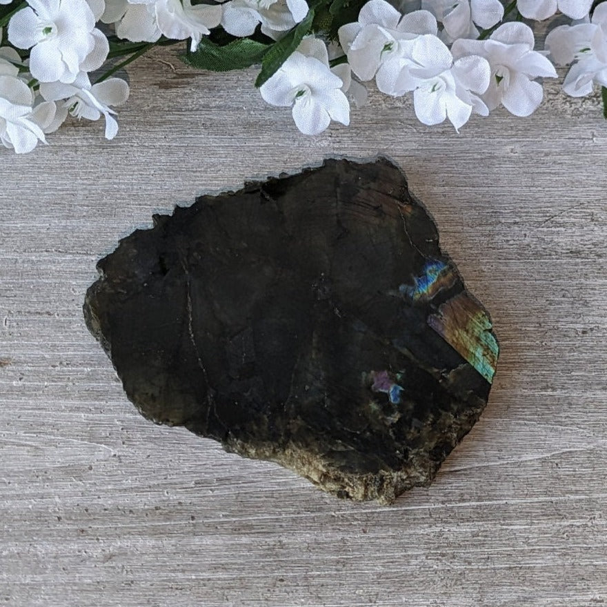 Stunning Labradorite Coaster - Sold As Seen